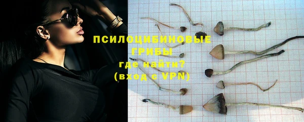 амф Нягань
