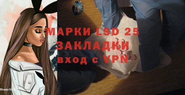 твердый Новодвинск
