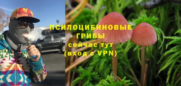 бошки Осташков