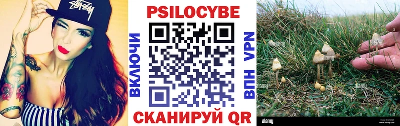 Псилоцибиновые грибы GOLDEN TEACHER  Правдинск 