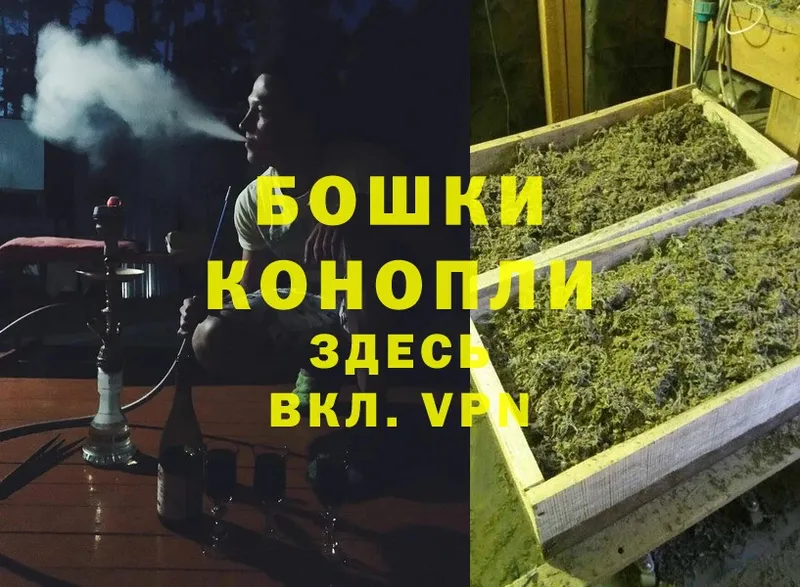 Бошки Шишки THC 21%  Правдинск 